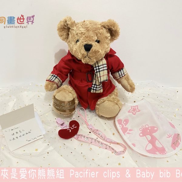Pacifier Clips & bib embroider bear