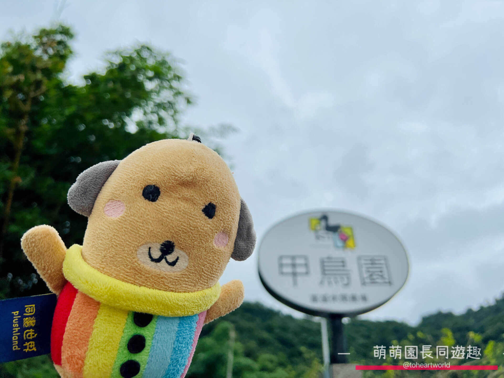 宜蘭親子景點_甲鳥園農場，來看看可愛的鴨子，親近小動物，親子前往或是情侶約會、朋友來踏青都很適合